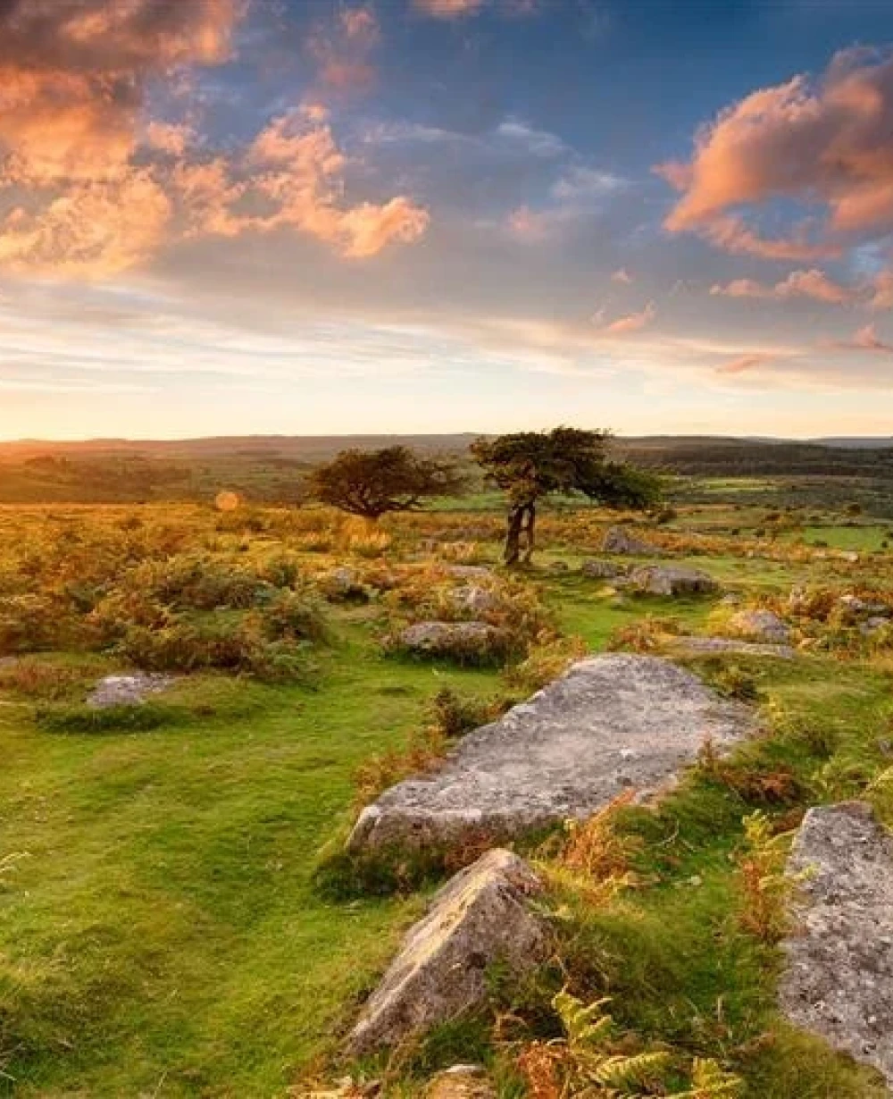 Rural countryside covered by Voneus broadband services